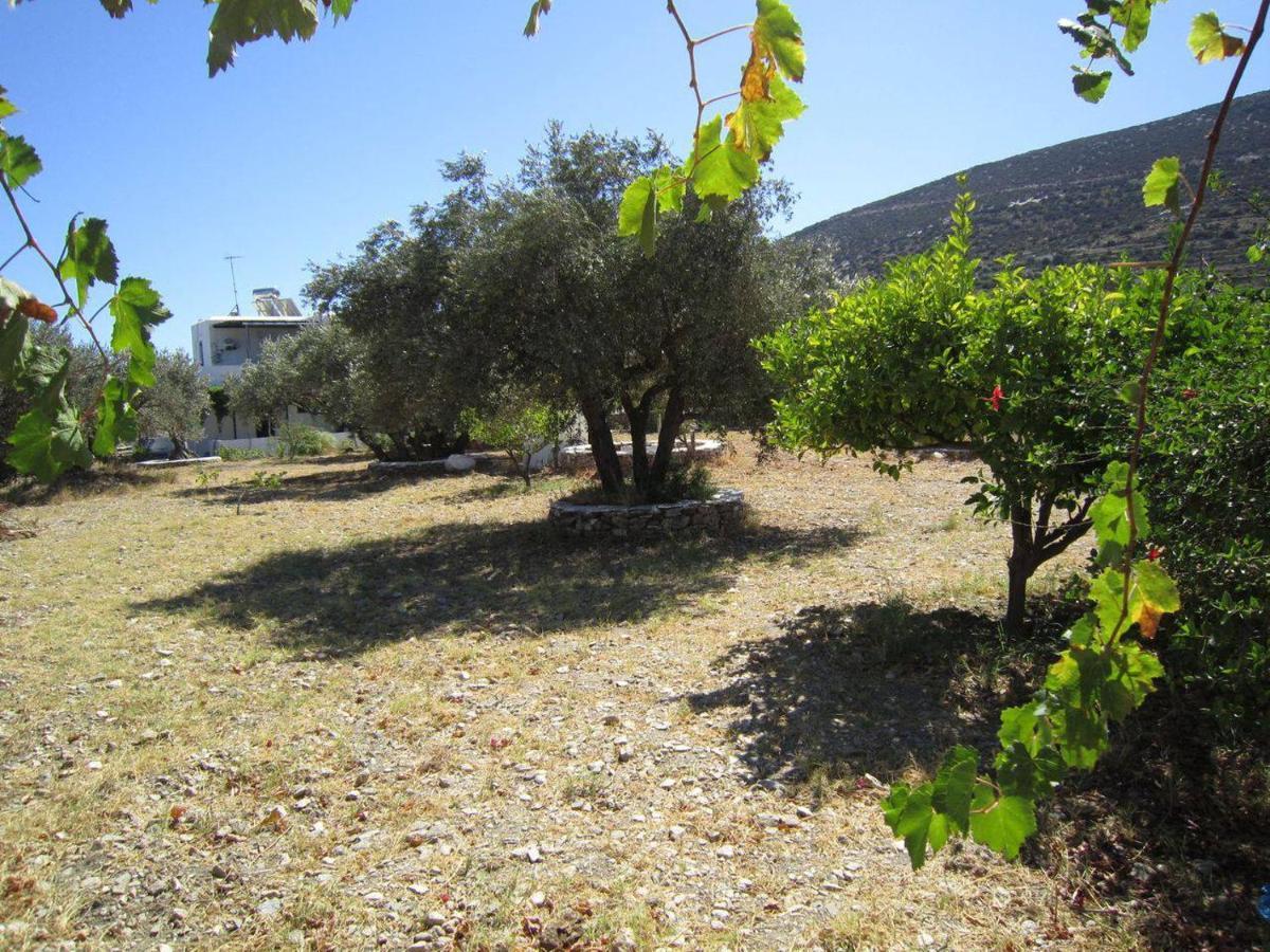 Elisso Villas Platis Gialos  Dış mekan fotoğraf