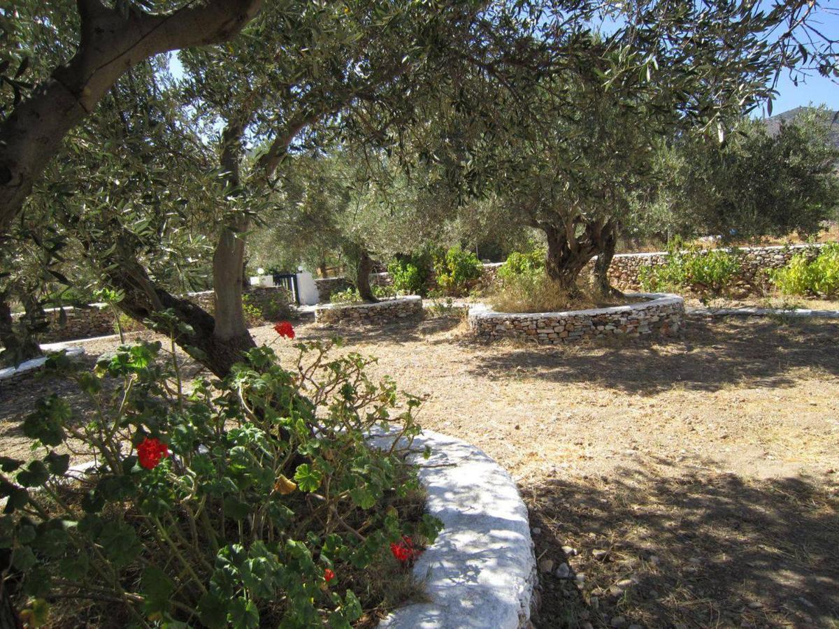 Elisso Villas Platis Gialos  Dış mekan fotoğraf
