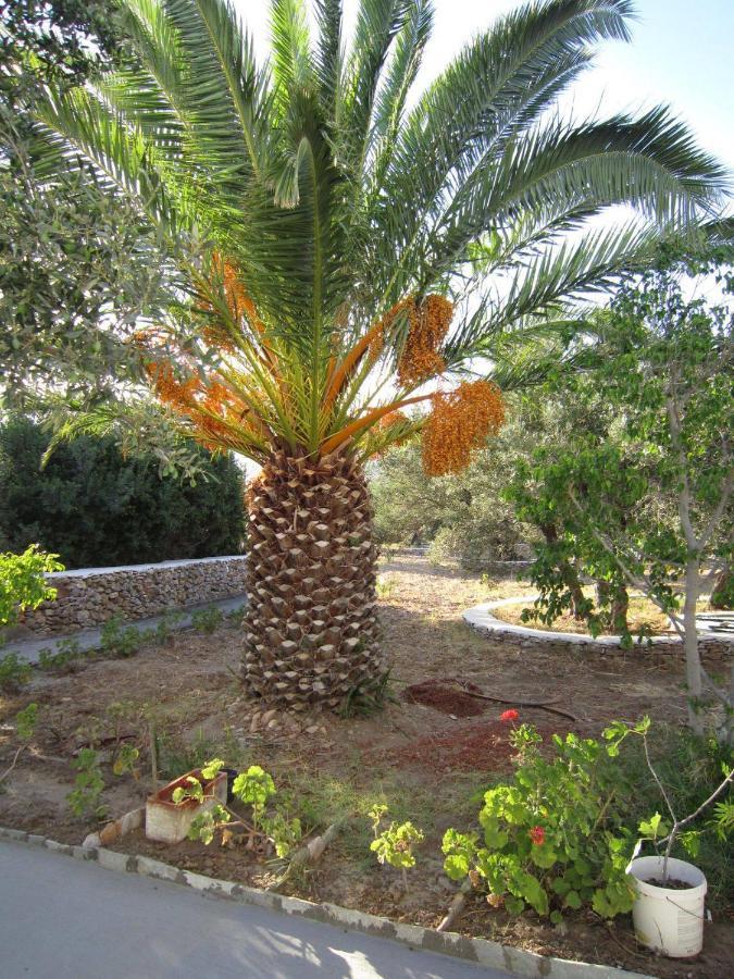 Elisso Villas Platis Gialos  Dış mekan fotoğraf
