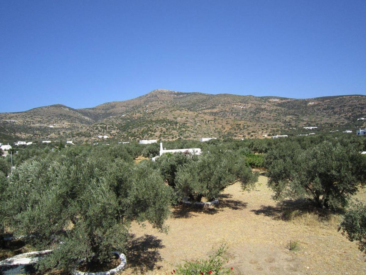 Elisso Villas Platis Gialos  Dış mekan fotoğraf