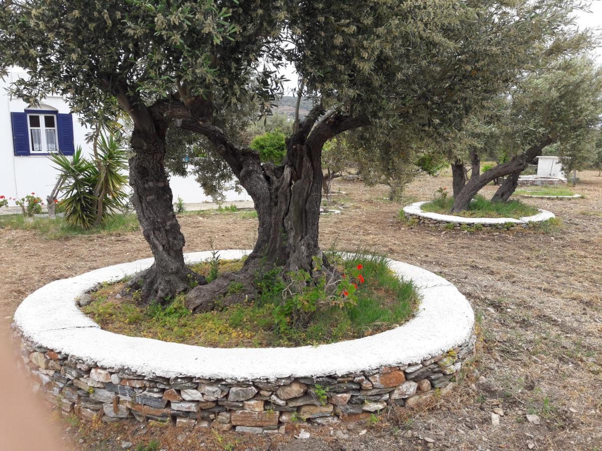 Elisso Villas Platis Gialos  Dış mekan fotoğraf