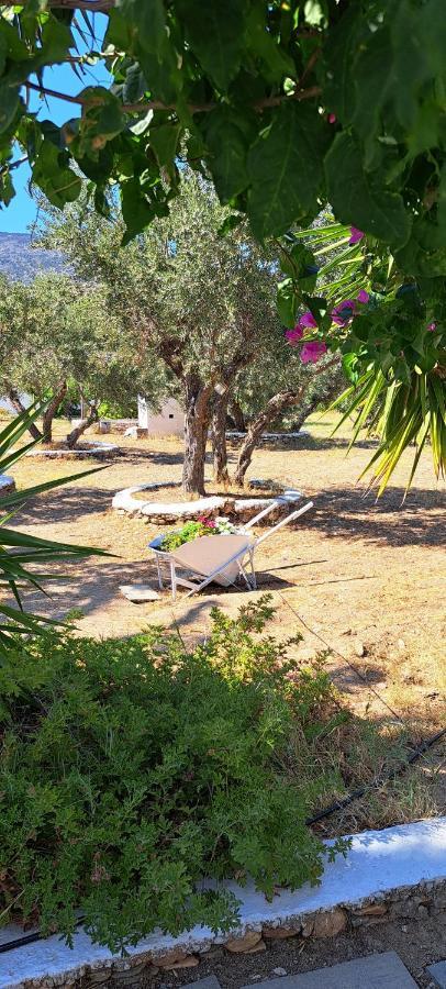Elisso Villas Platis Gialos  Dış mekan fotoğraf
