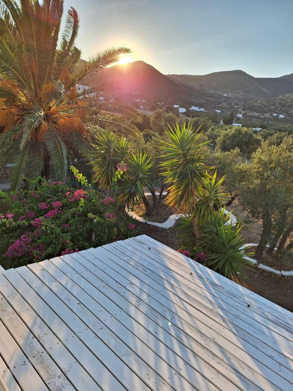 Elisso Villas Platis Gialos  Dış mekan fotoğraf