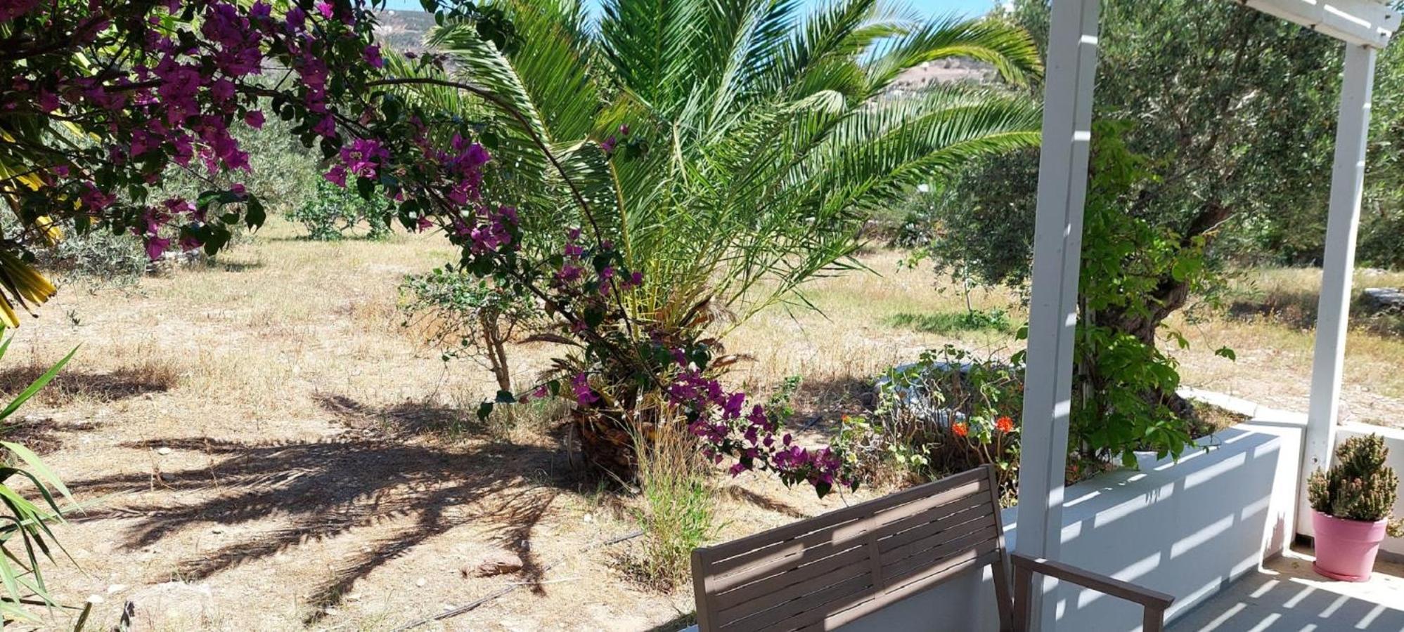 Elisso Villas Platis Gialos  Dış mekan fotoğraf